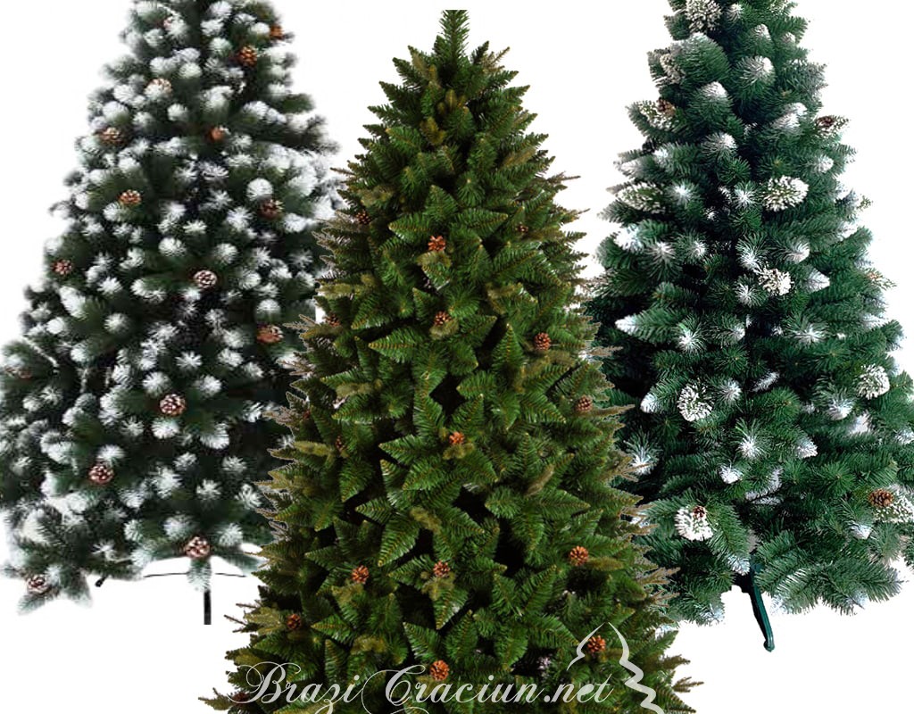 brazi de craciun perfecti